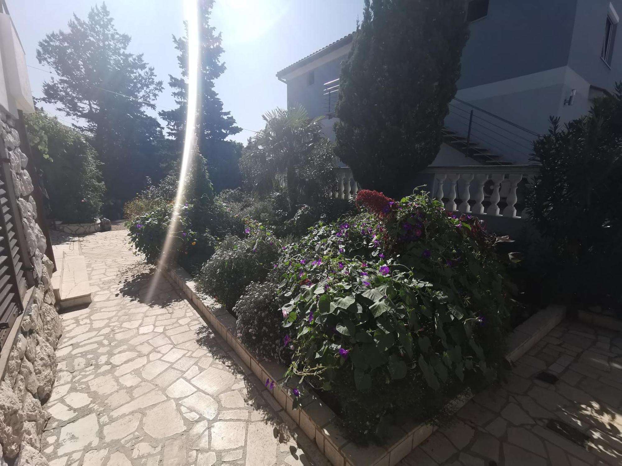 Apartment Marija 茨里克韦尼察 外观 照片